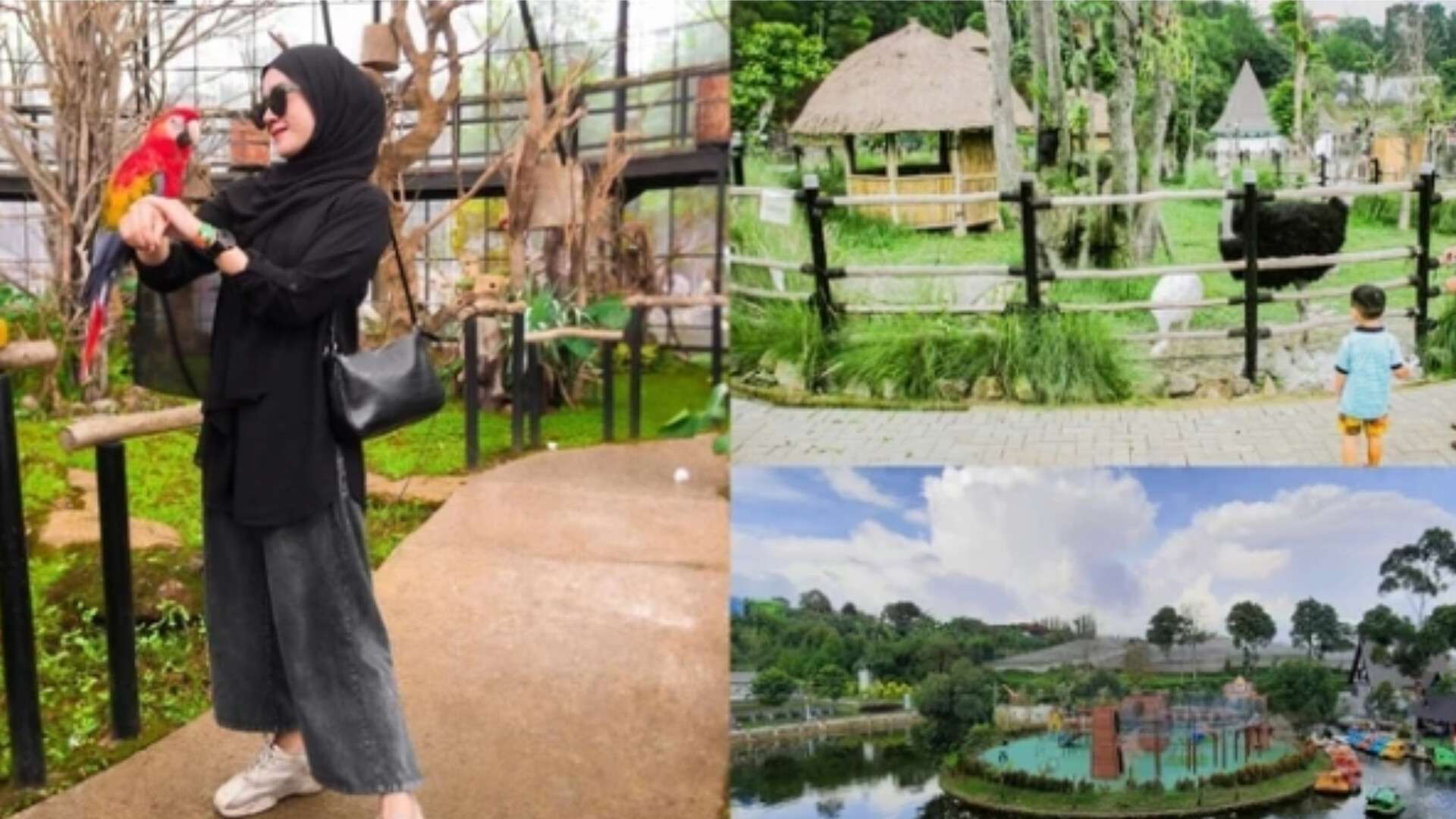 Trael Malang Bali Karzana Trans pilihannya